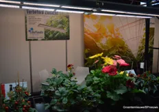 The improved sunlight from the LED lamps of Rofianda could also be found in Gorinchem.